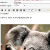 HTML Bilder